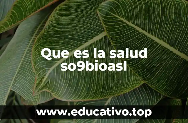 Que es la salud so9bioasl