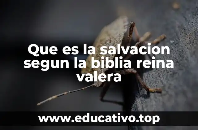 Que es la salvacion segun la biblia reina valera