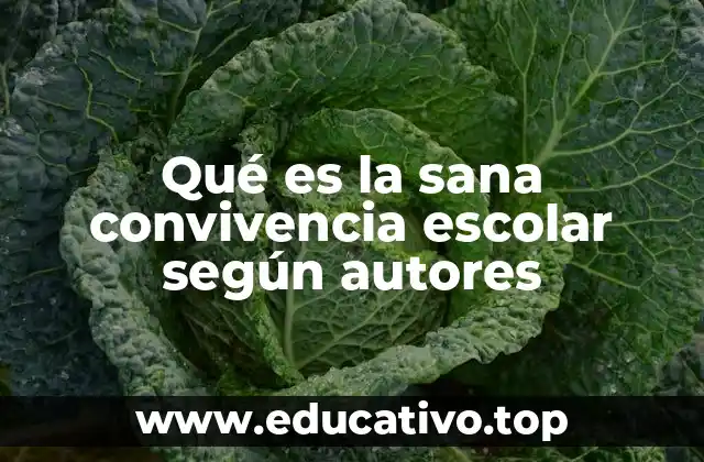 Qué es la sana convivencia escolar según autores