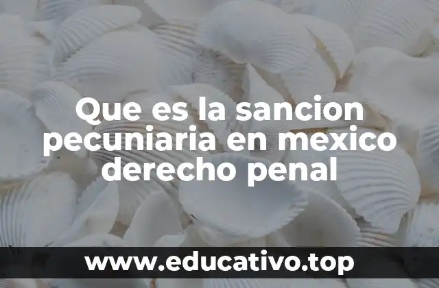 Que es la sancion pecuniaria en mexico derecho penal
