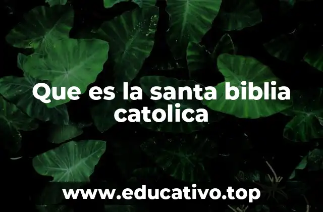 Que es la santa biblia catolica