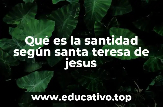 Qué es la santidad según santa teresa de jesus