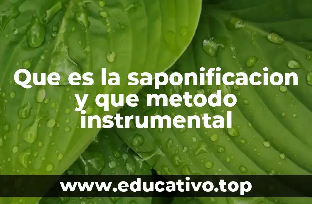 Que es la saponificacion y que metodo instrumental