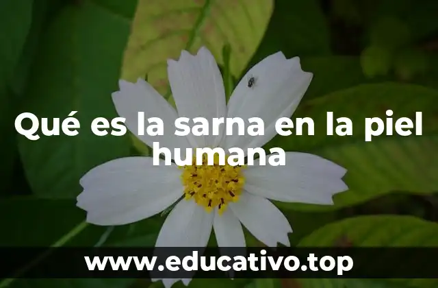 Qué es la sarna en la piel humana