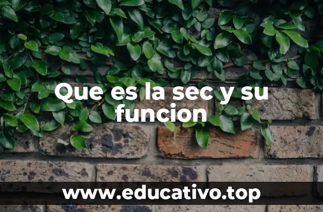 Que es la sec y su funcion