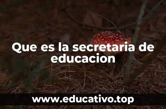 Que es la secretaria de educacion