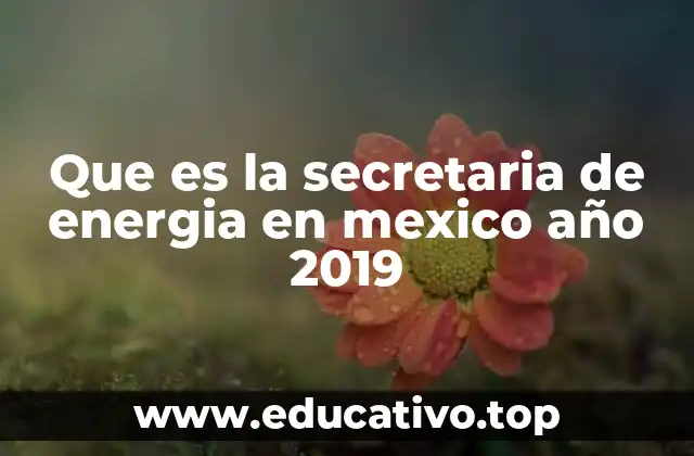 La importancia de la Secretaría de Energía en el desarrollo económico nacional