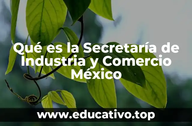 Qué es la Secretaría de Industria y Comercio México