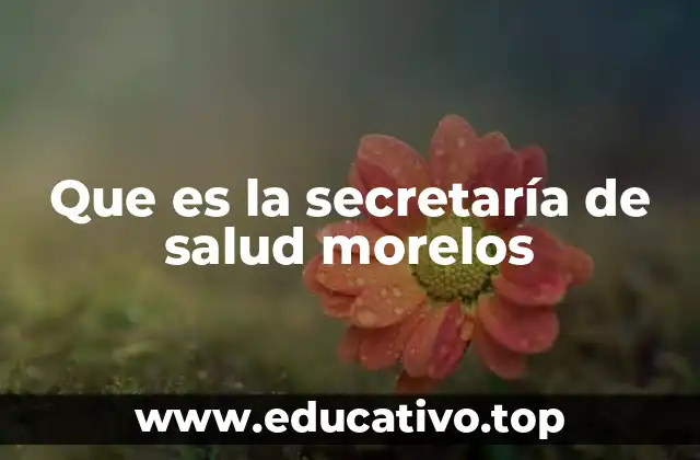Que es la secretaría de salud morelos