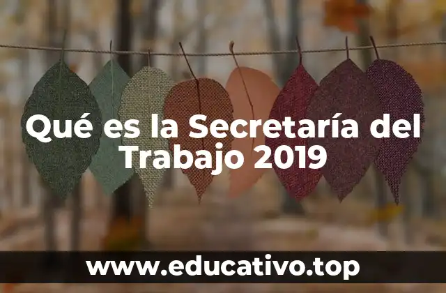 Qué es la Secretaría del Trabajo 2019