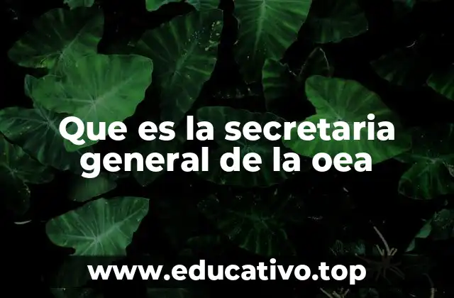 Que es la secretaria general de la oea