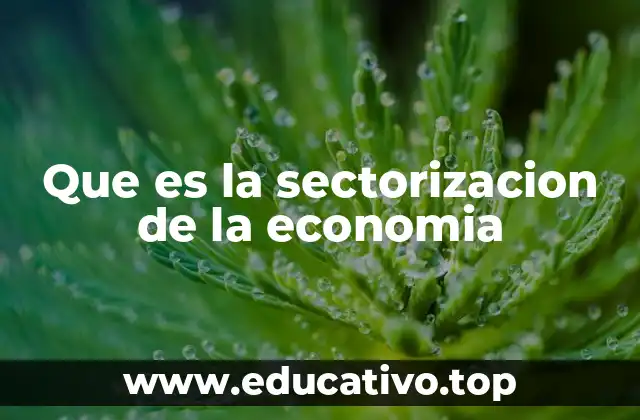 Que es la sectorizacion de la economia