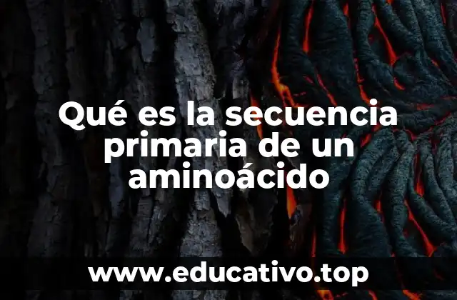 Qué es la secuencia primaria de un aminoácido