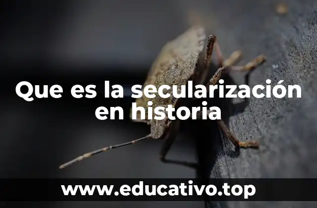 Que es la secularización en historia