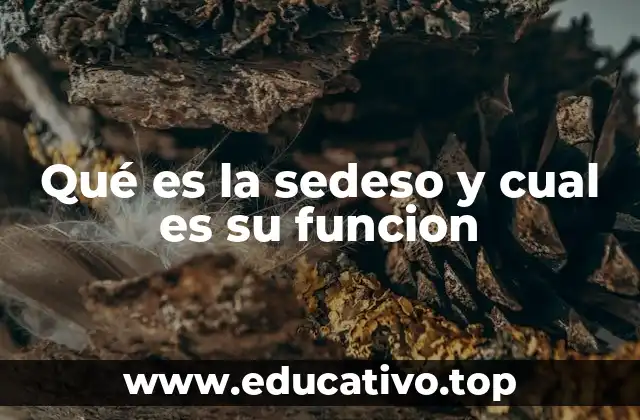 Qué es la sedeso y cual es su funcion
