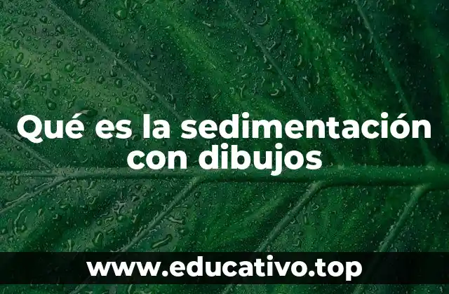 Qué es la sedimentación con dibujos