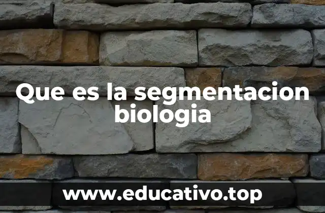 Que es la segmentacion biologia