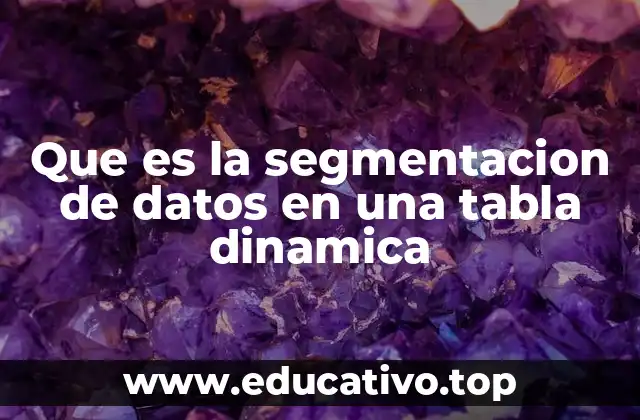 Que es la segmentacion de datos en una tabla dinamica