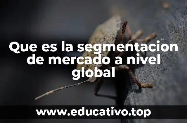 Que es la segmentacion de mercado a nivel global