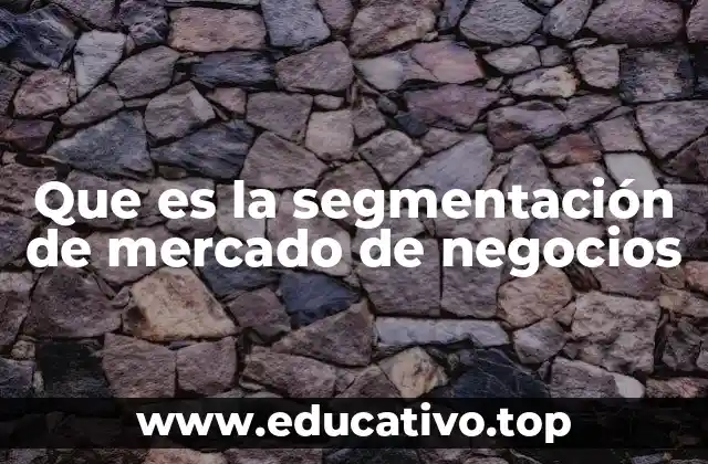 Que es la segmentación de mercado de negocios