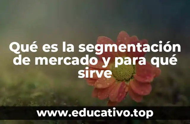 Qué es la segmentación de mercado y para qué sirve