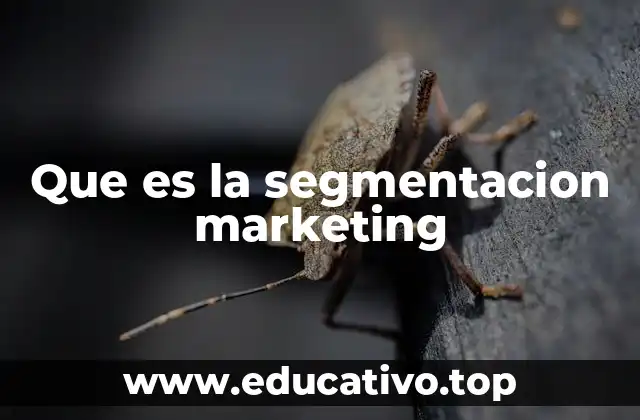 Que es la segmentacion marketing