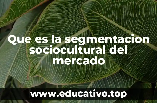 Que es la segmentacion sociocultural del mercado