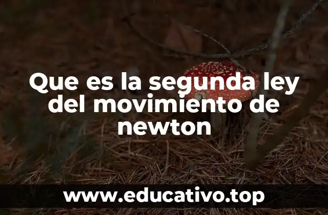 Que es la segunda ley del movimiento de newton