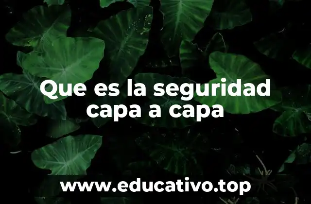 Que es la seguridad capa a capa