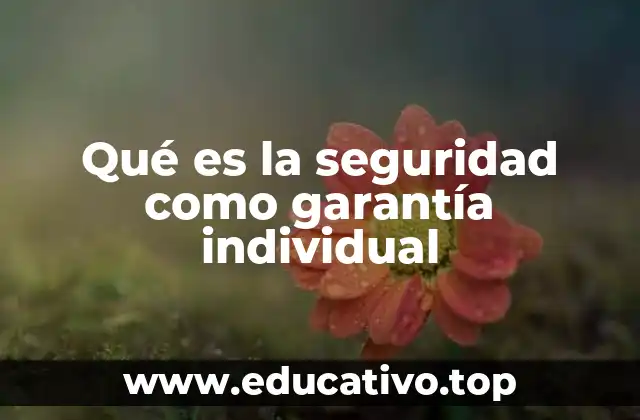 Qué es la seguridad como garantía individual