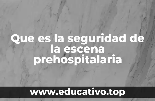 Que es la seguridad de la escena prehospitalaria