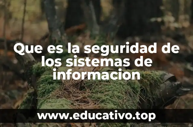 Que es la seguridad de los sistemas de informacion