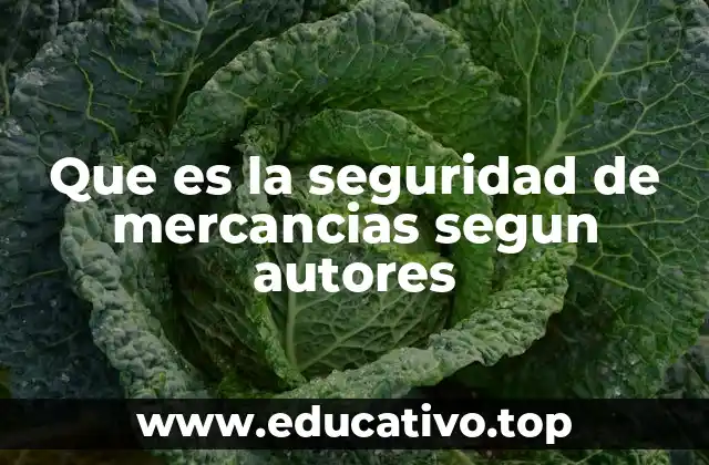 Que es la seguridad de mercancias segun autores