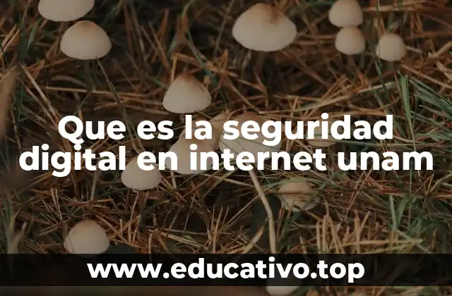 La importancia de la protección en el entorno digital universitario