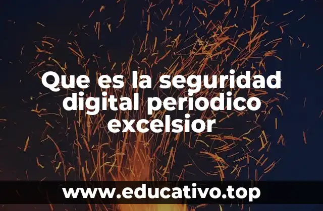 Que es la seguridad digital periodico excelsior