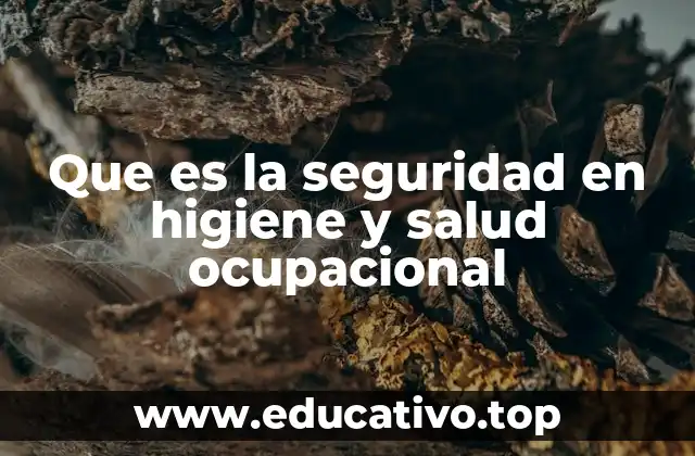 Que es la seguridad en higiene y salud ocupacional