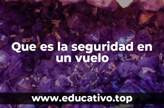 Que es la seguridad en un vuelo