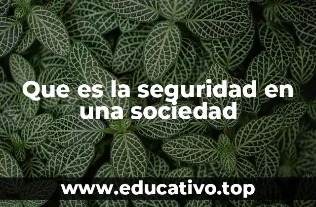 Que es la seguridad en una sociedad