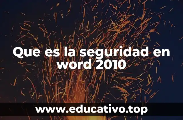Que es la seguridad en word 2010