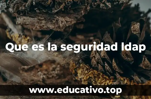 Que es la seguridad ldap
