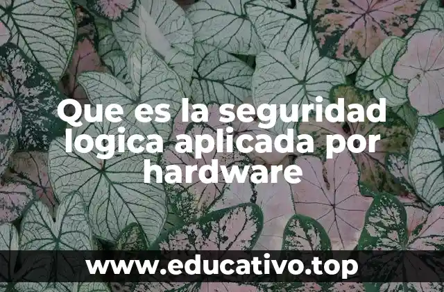 Que es la seguridad logica aplicada por hardware