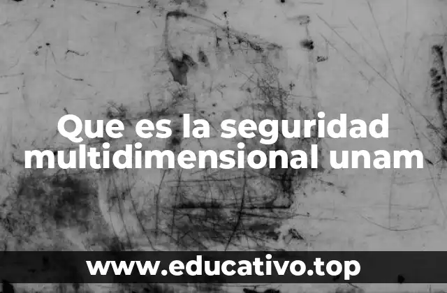Que es la seguridad multidimensional unam