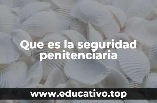 El rol de la seguridad penitenciaria en la estabilidad social