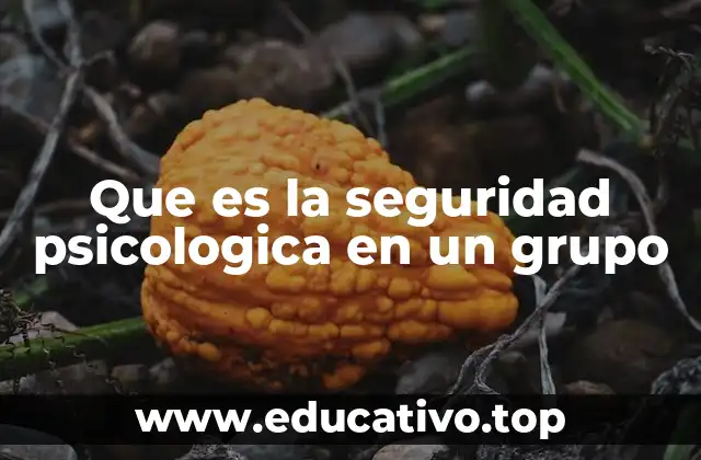 Que es la seguridad psicologica en un grupo