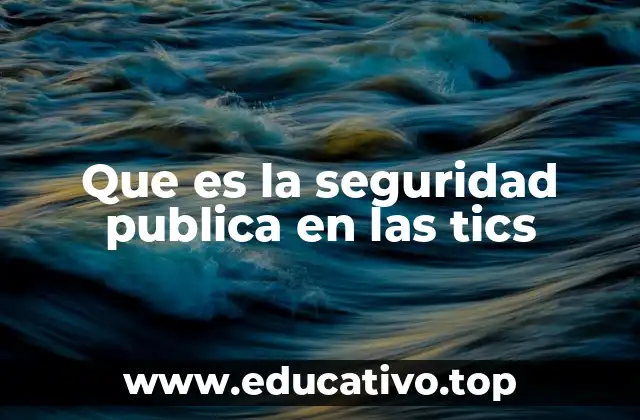 Que es la seguridad publica en las tics