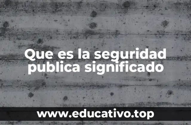 Que es la seguridad publica significado