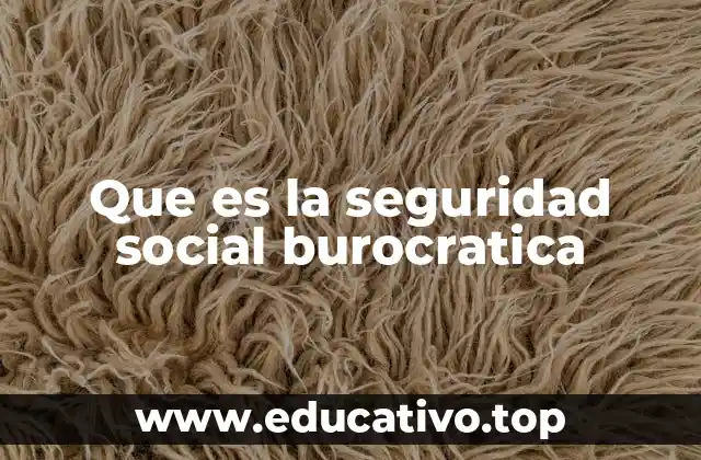 Que es la seguridad social burocratica