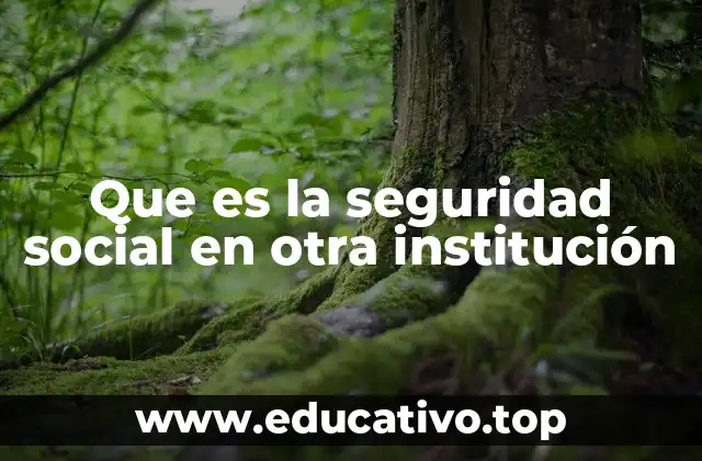 Que es la seguridad social en otra institución