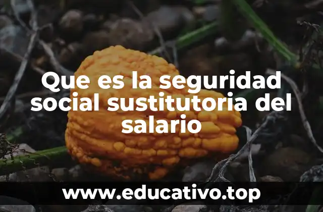 El rol de la seguridad social en la estabilidad económica