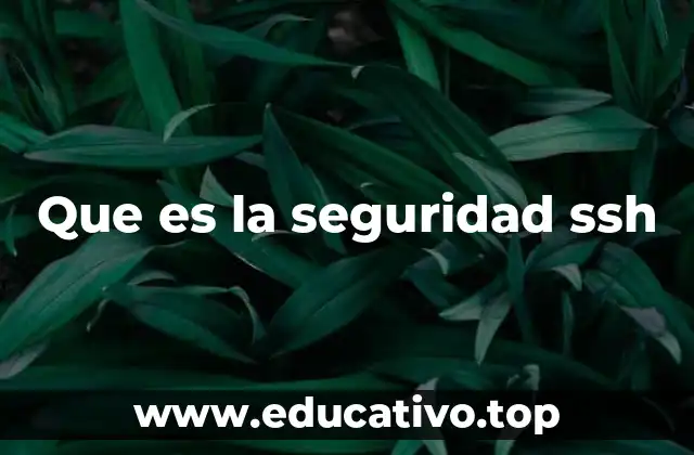 Que es la seguridad ssh